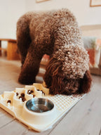 slowfeed hundeskål i beige