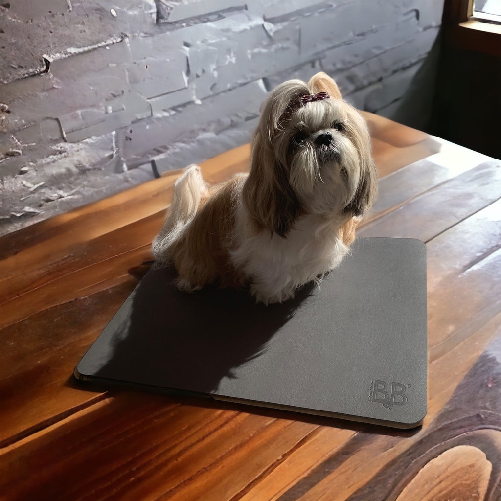 B&B grommingmåtte til hunde