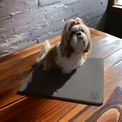 B&B grommingmåtte til hunde