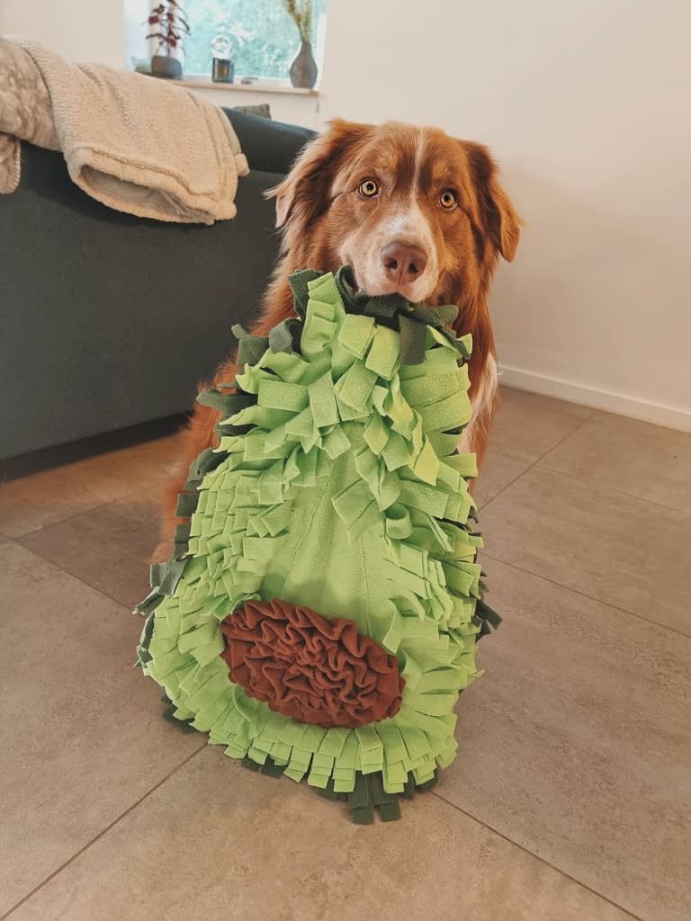 snusemåtte avocado hunde