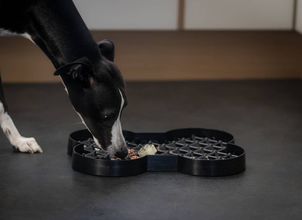 Hund spiser af sort Slow feeder plate fra Lickimat