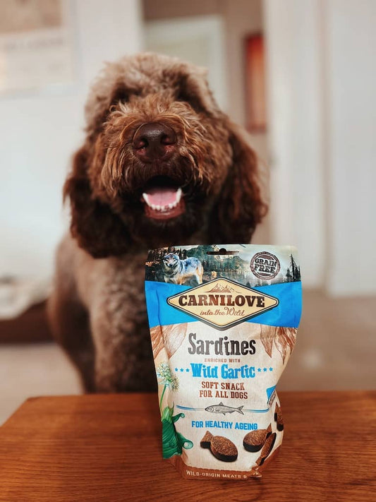 Carnilove Sardines wild garlic soft snack for all dogs hundegodbidder med sardiner