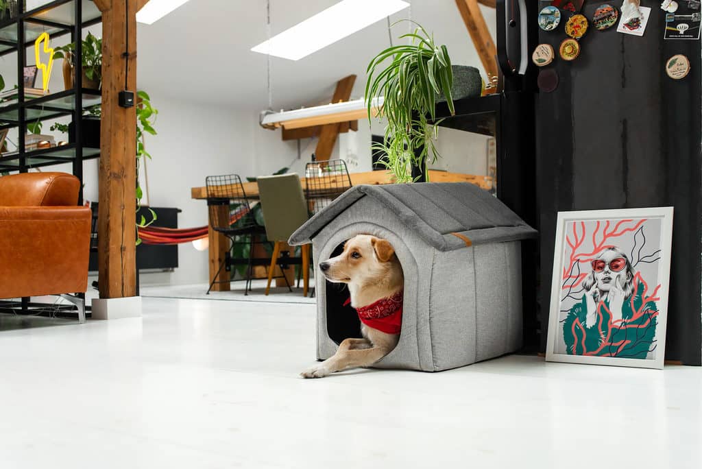komfortabel hundehus i grå til indendørs brug