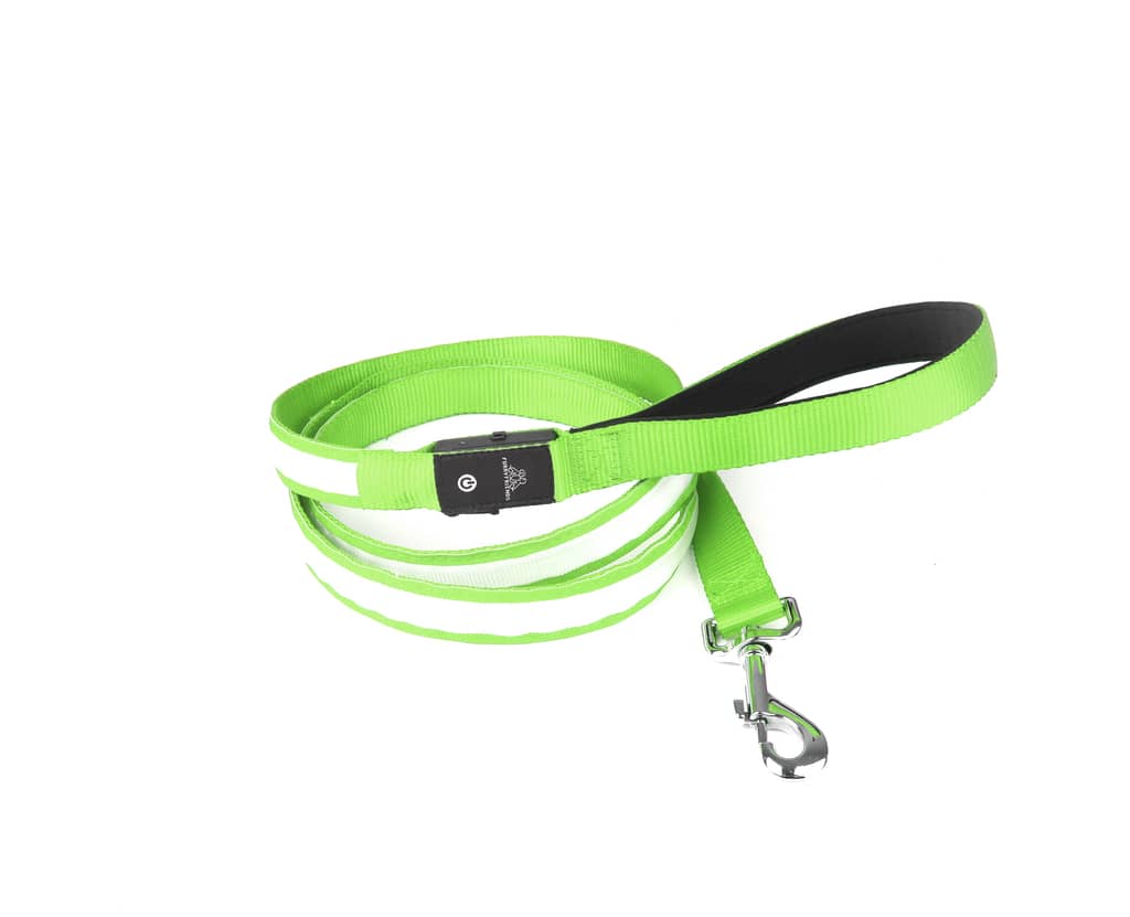 Hundesnor med LED lys i farven grøn