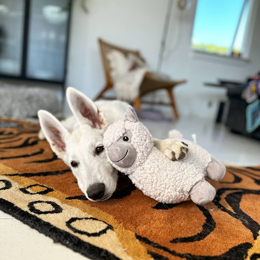 Be Eco Alpaca Hundebamse