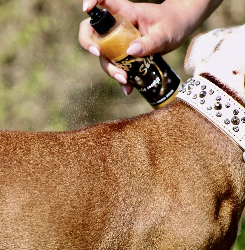 B&B Shake'n Spray til hunde