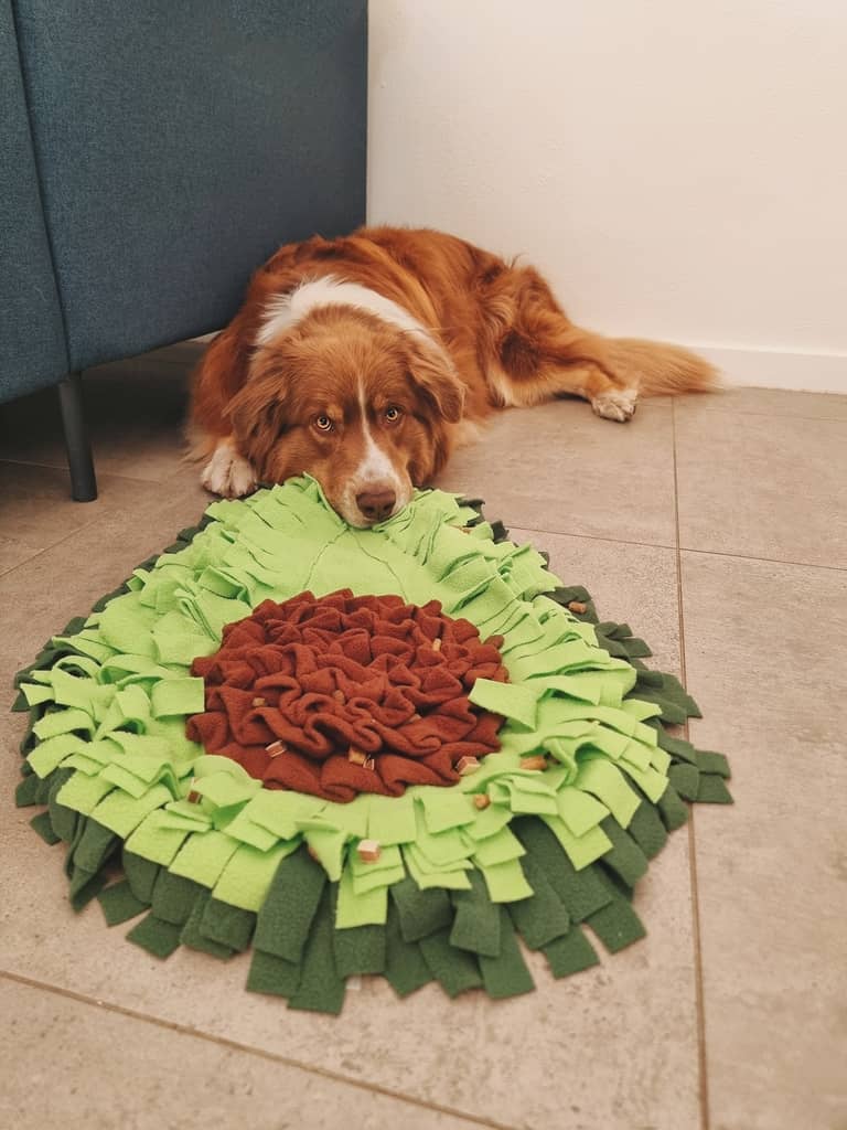 aktivitetslegetøj snusemåtte til hunde