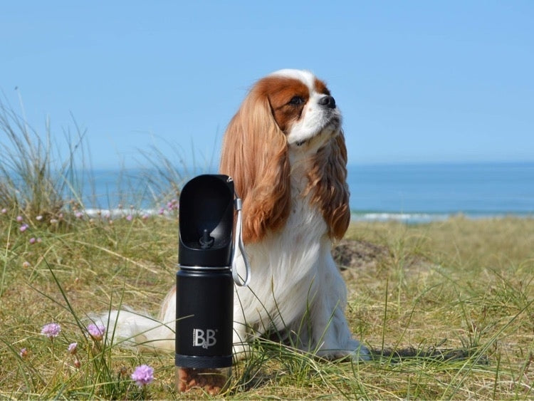 Rejse vandflaske til hunde