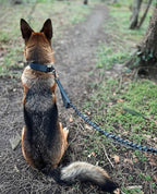 Aktivitets hundesnor med håndtag grå