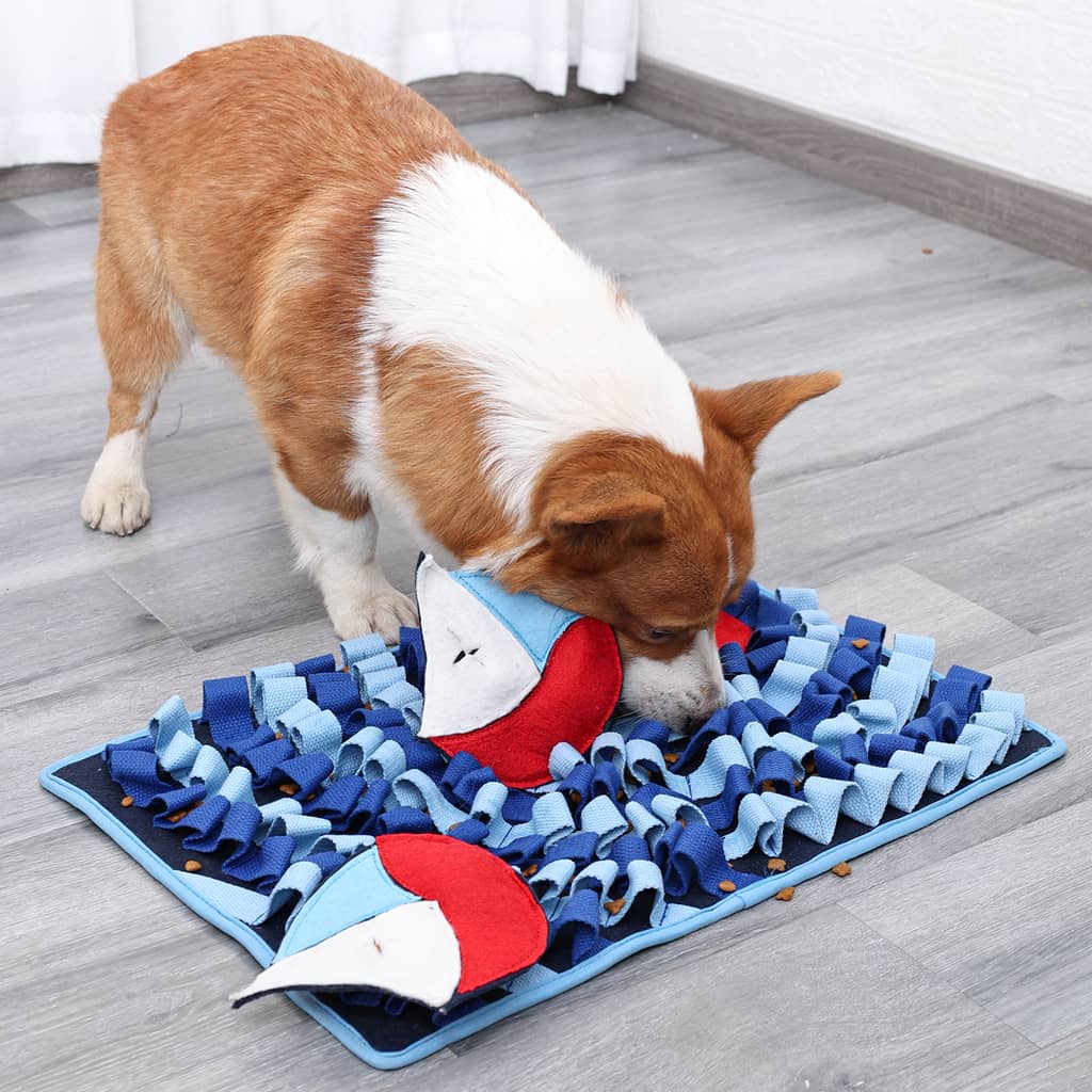 Corgi der snuser efter mad i snusemåtte til hunde der forestiller havet