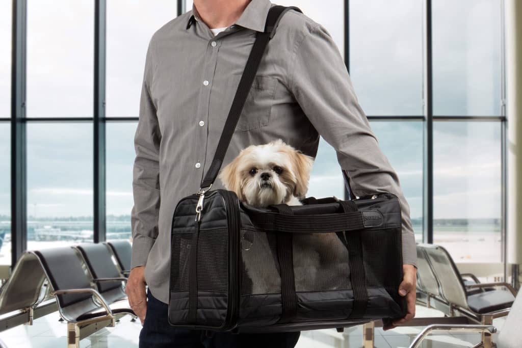 Hundetransporttaske hund og ejer