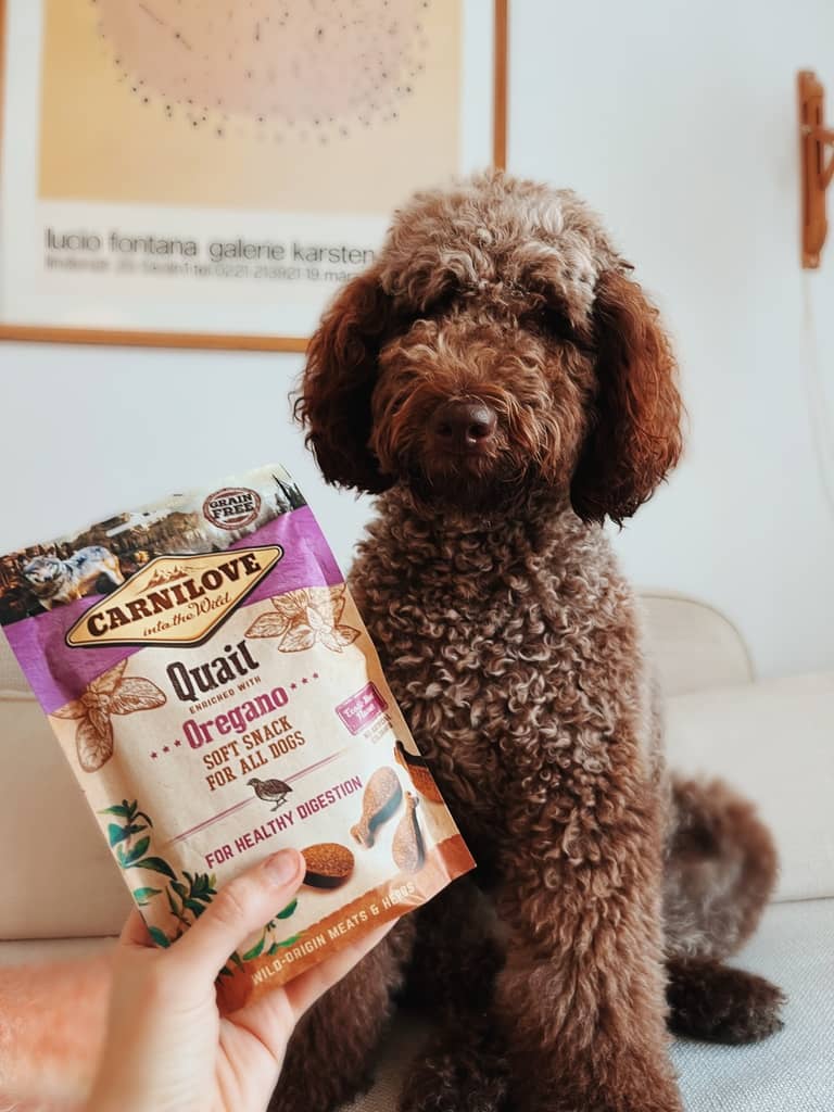 Carnilove Quail oregano soft snacks for all dogs