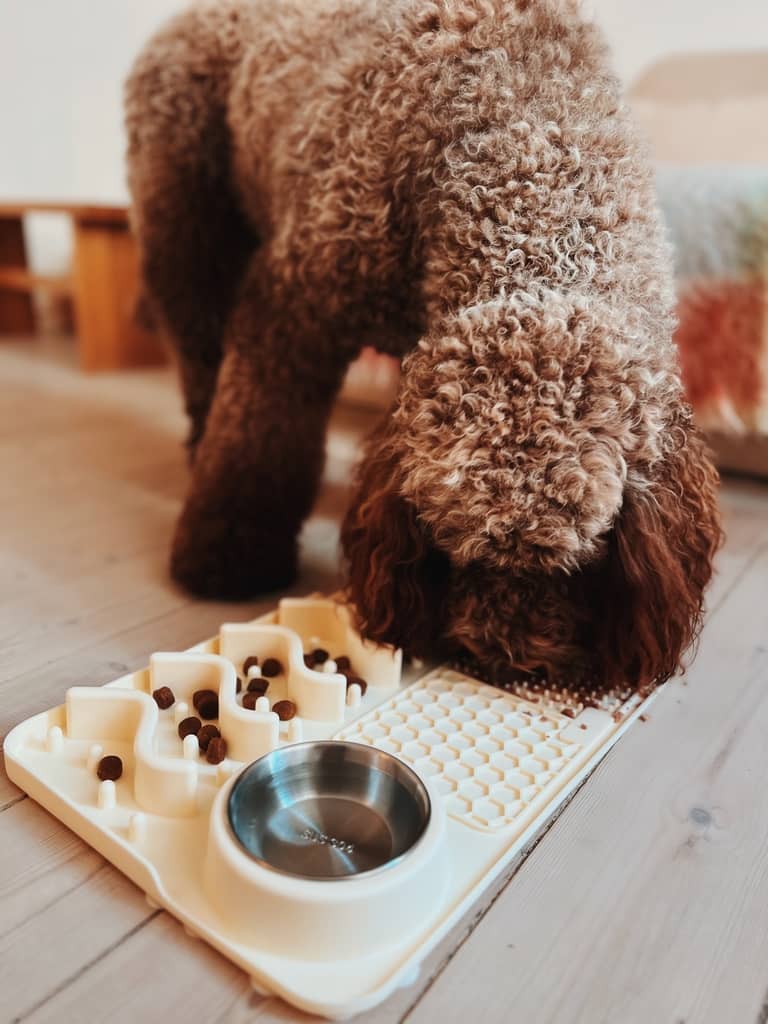 stor slowfeed foder station i beige til hunde