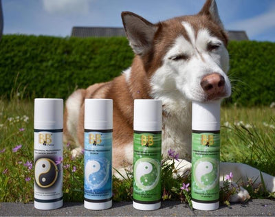 fugtgivende hundeshampoo