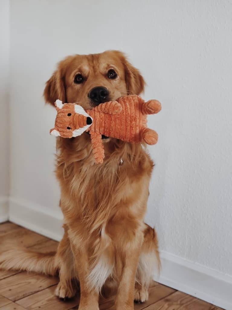 Mikkel ræv hundebamse