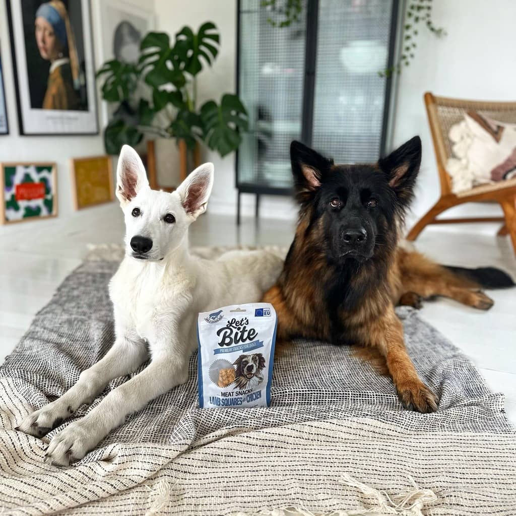 Let’s Bite Meat Snacks Squares lam godbidder