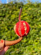 Tandrensende hundebold god til hvalpe