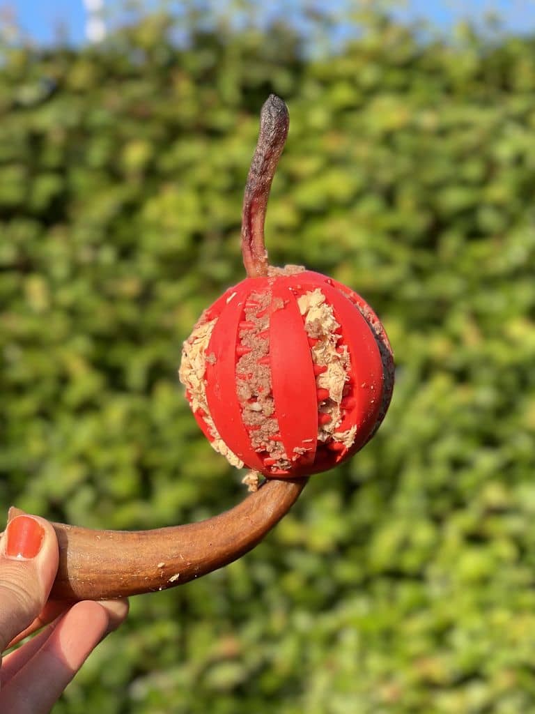 Tandrensende hundebold god til hvalpe