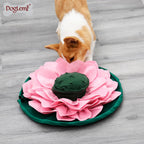 Corgi der leder efter godbidder i en snusemåtte der ligner en lotus blomst