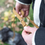 denjo dogs hundesnor i mustard på cockerspaniel