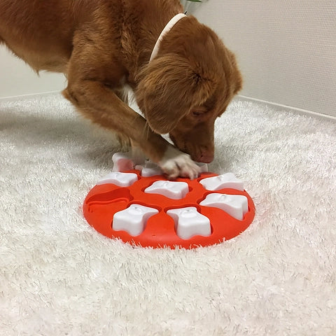 Nina Ottosson dog smart plast aktiveringsspil til hund i orange med hund