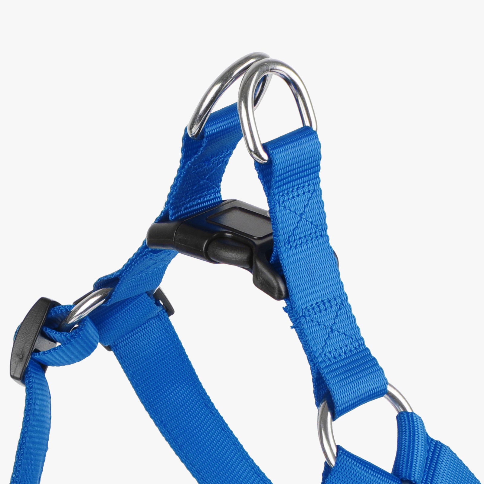 Hundesele med LED lys til de små racer blå