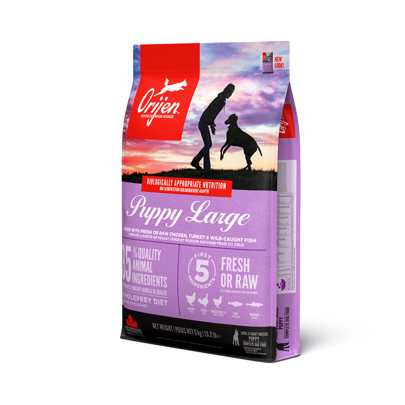 ORIJEN Puppy Large Breed 6 kg