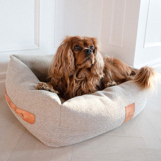 Denjo Dogs Bed Nest Superior Sand med Læderdetaljer Hundeseng med hund