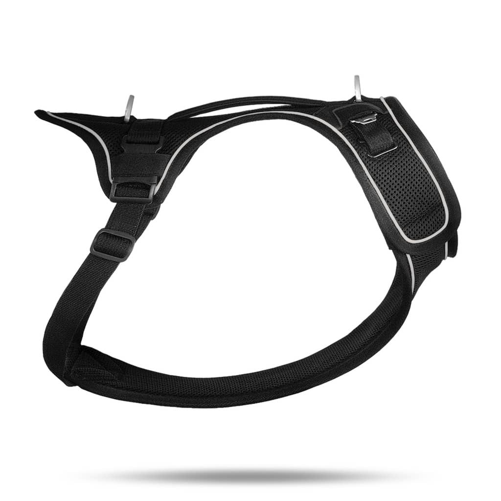 Curli Belka Harness hundesele sort