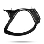 Curli Belka Harness hundesele sort