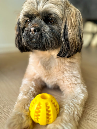Tandrensende godbidsbold i farven gul med hund 