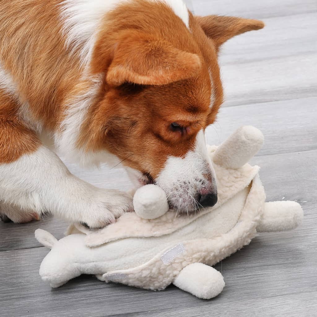 Aktivitetslegetøj til hund - Fåret Fie Hundebamse hund leger med bamsen