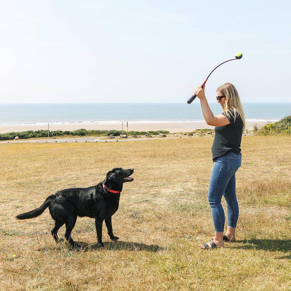 KONG Handipod Launcher hund og ejer på stranden