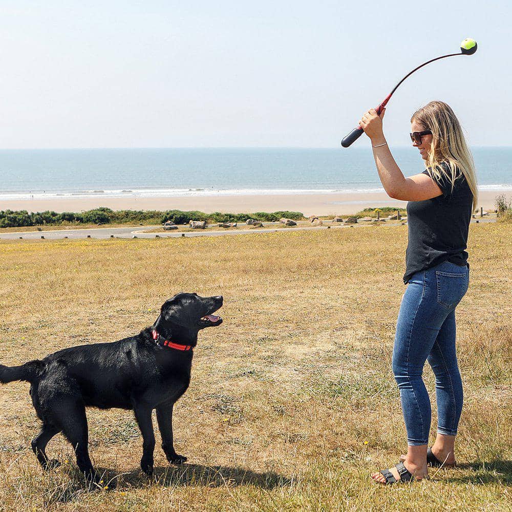 Kong Hanipod launcher med hund og ejer