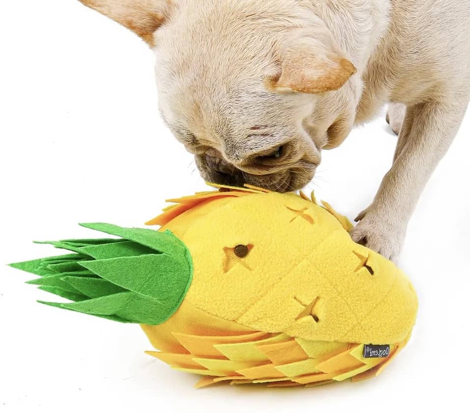 Aktiveringslegetøj ananas med fransk bulldog der snuser til godbidder