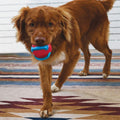 KONG Jaxx Brights Ball Gul Hundebold med hund