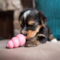 KONG puppy i lyserød med en hvalp 