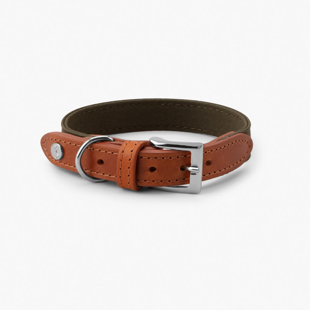 Denjo Dogs Hundehalsbånd Signature hundehalsbånd i farven Cognac og Khaki