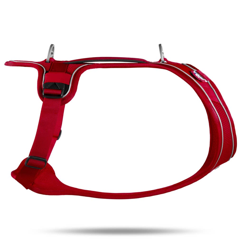 Curli Belka Comfort harness hundesele i rød set fra midten og fra siden